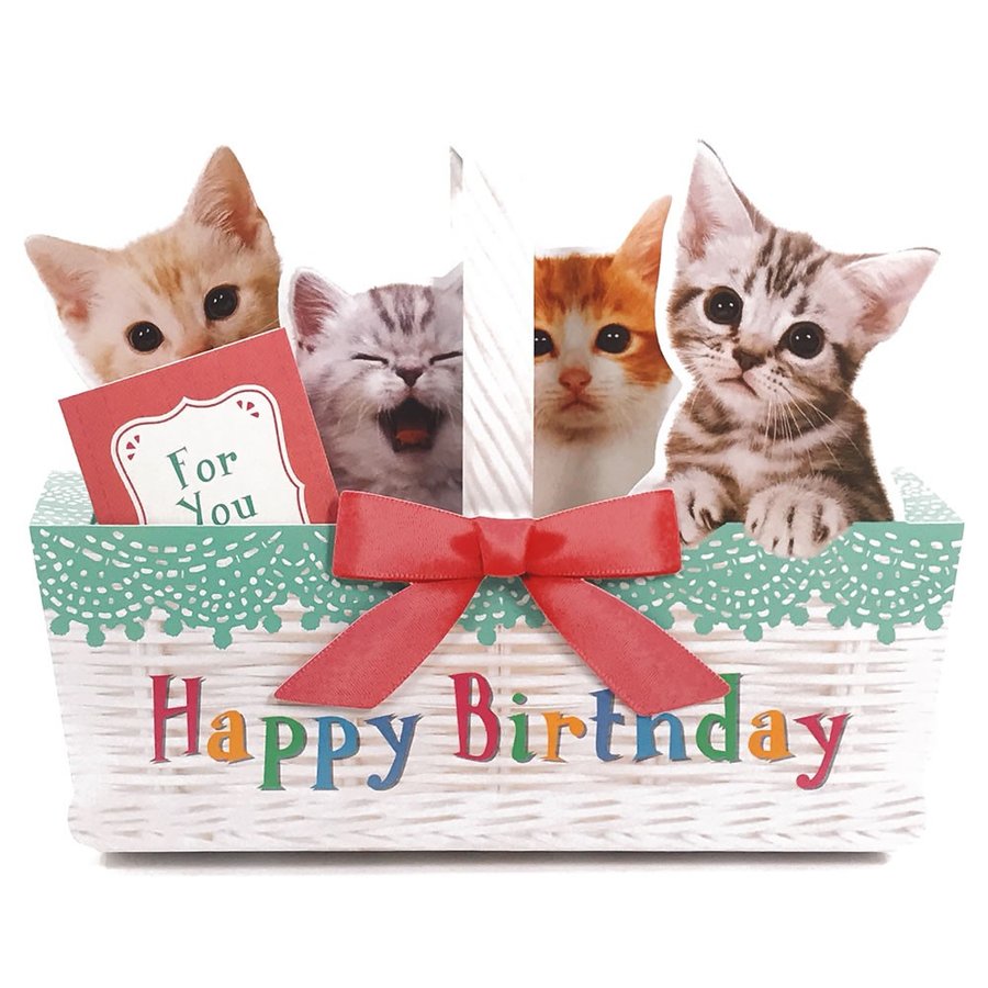 楽天市場 バースデーカード誕生日祝い ネコの鳴き声 サンリオ P240 グリーティングカード メロディカード 猫 ねこ ねこ家 お祝い 御祝 誕生日 プレゼント ギフト サンフェロー