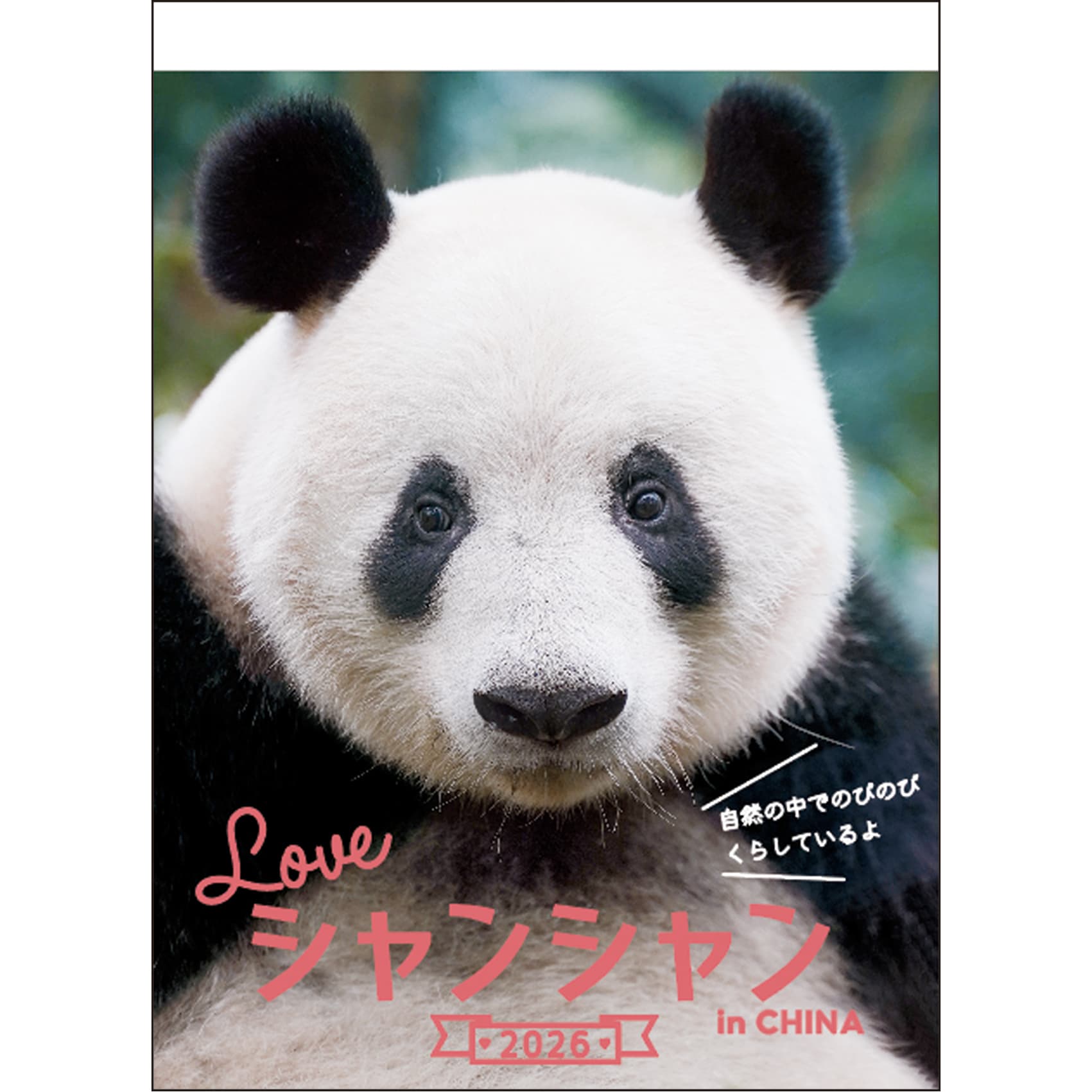 シャンシャン　ミニカレンダー　クリアファイル　大パンダ展　非売品 4995027174505-0.jpg