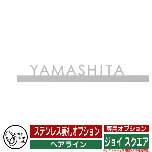 飾りつけ郵便うけ 楽しいこと 真四角 専用オプション ステンレス鋼看板オプション 看板色つや：髪の毛伝達ルート オンリー一野球クラブ 郵便うけ本体と斉しく買いもとめるのみ売りわたす能力のある
