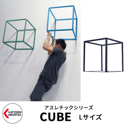 カツデンアーキテック Cube キューブ Lサイズ 家庭用アスレチックシリーズ イメージ 半艶ブラック 運動器具 Txフリー トルエンキシレン非含有 機械構造用炭素鋼鋼管 お子様の体力づくりや大人の運動不足解消に親子で毎日チャレンジ インターネットを通じた企業の風評被害