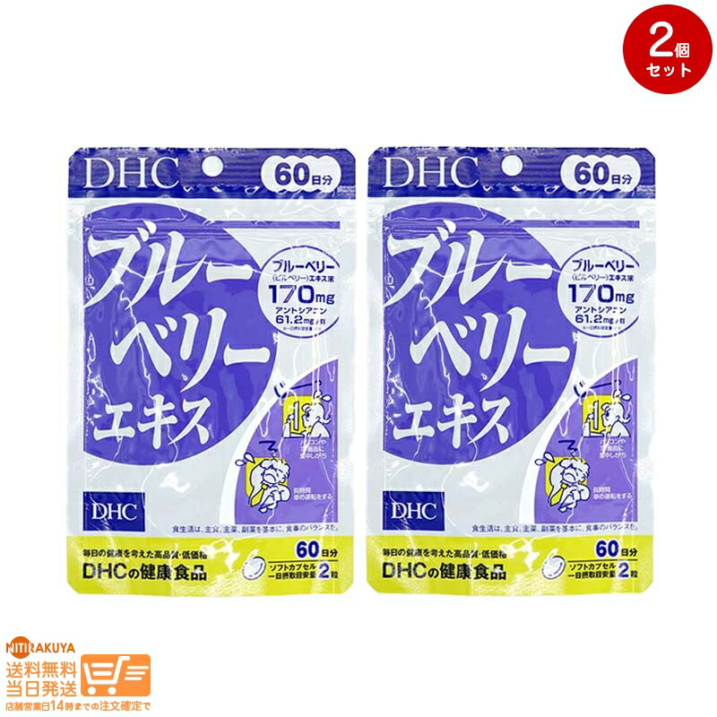 19☆新品・DHC ブルーベリーエキス ６０日分×６袋