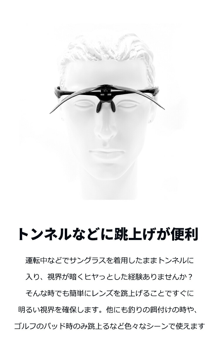 市場 リペアン プロ仕様 デンタルクリーナー シャープ 4回分入 犬口ケア スケーラー