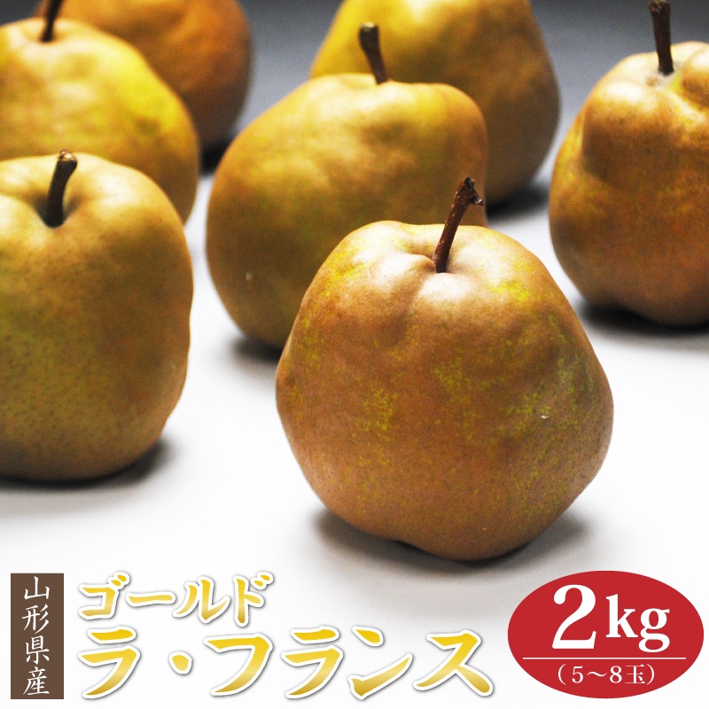 18金 洋梨 ラフランス 洋ナシ フランス エジプト ペンダント 18金 洋梨