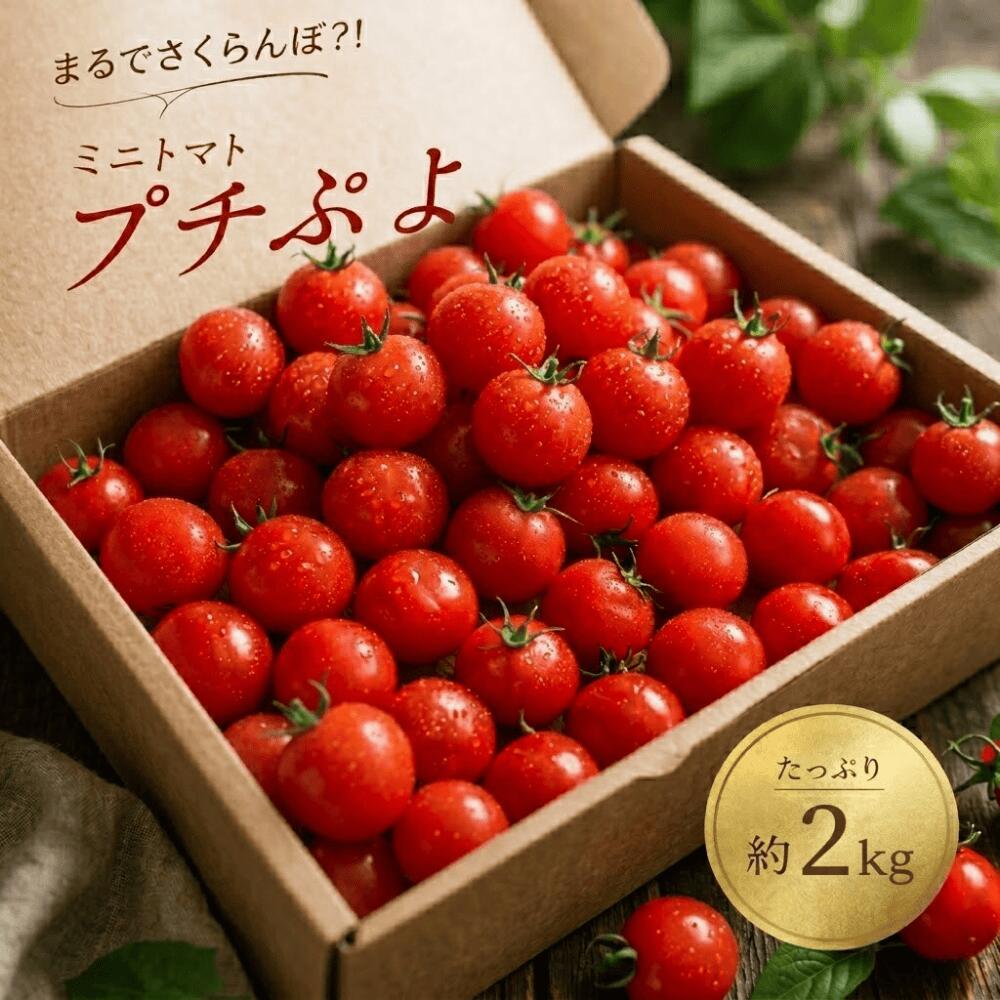 【予約開始｜2026年8月頃～発送】宮城県産 プチぷよ トマト 2Kg (1Kg&times;2箱) 薄皮 幻のミニトマト 高糖度 フルーツトマト 産地直送 送料無料 ギフト 完熟 野菜 お取り寄せ お中元 プチぷよ ぷちぷよ｜Sunmine
