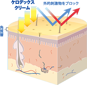 佐鳴 勤め趣意 皮ふ持続靴墨 500 Kerodex ケロデックス クリーム 療治部外科目 御手手クリーム Cannes Encheres Com