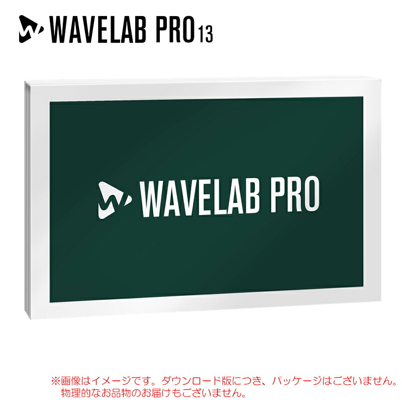 STEINBERG WAVELAB PRO 13 ダウンロード版 楽になることの日本置き目品！
