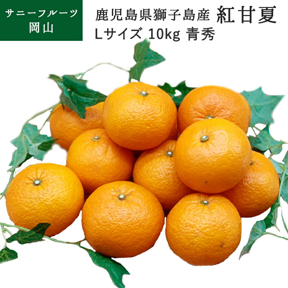 紅甘夏 Lサイズ 約10kg入 青秀 鹿児島県獅子島産 贈答用 ギフト フルーツ 果物 ミカン みかん 送料無料 (北海道・沖縄・離島の方は別途送料1500円がかかります)