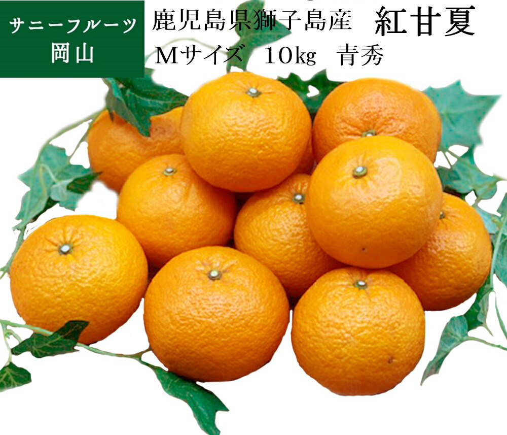 紅甘夏 Ｍサイズ 約10kg入 青秀 鹿児島県獅子島産 贈答用 ギフト フルーツ 果物 ミカン みかん 送料無料 (北海道・沖縄・離島の方は別途送料1500円がかかります)