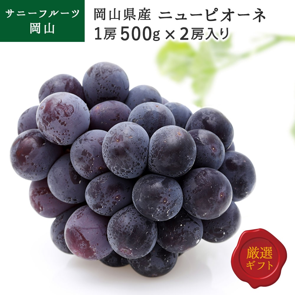 岡山県産 ニューピオーネ 1房約500g 2房入 秀品 ぶどう ブドウ フルーツ 化粧箱入 贈り物 送料無料 (北海道・沖縄・離島の方は別途送料1500円がかかります)