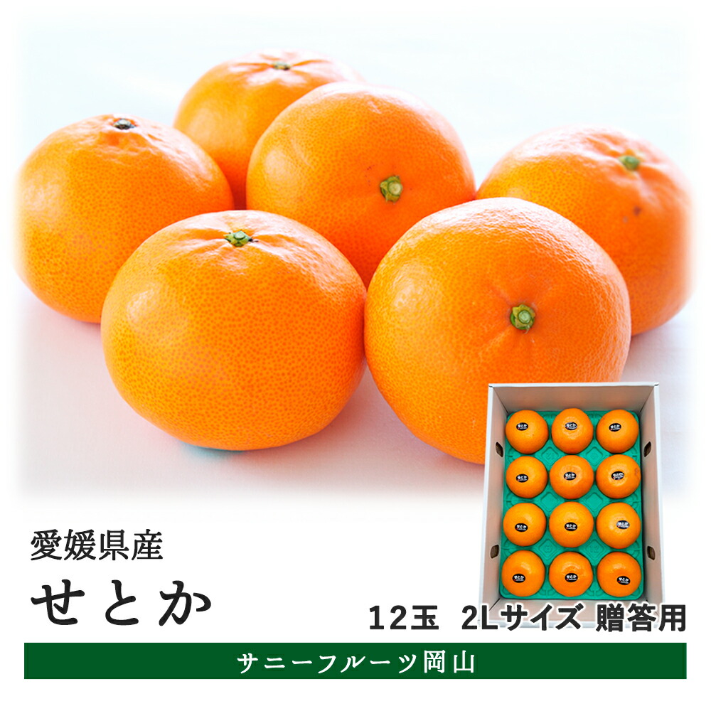 愛媛県産 せとか 3L～2L  約3kg 10～12玉入 みかん 高級 ギフト 贈答用 送料無料 (北海道・沖縄・離島の方は別途送料1500円がかかります)