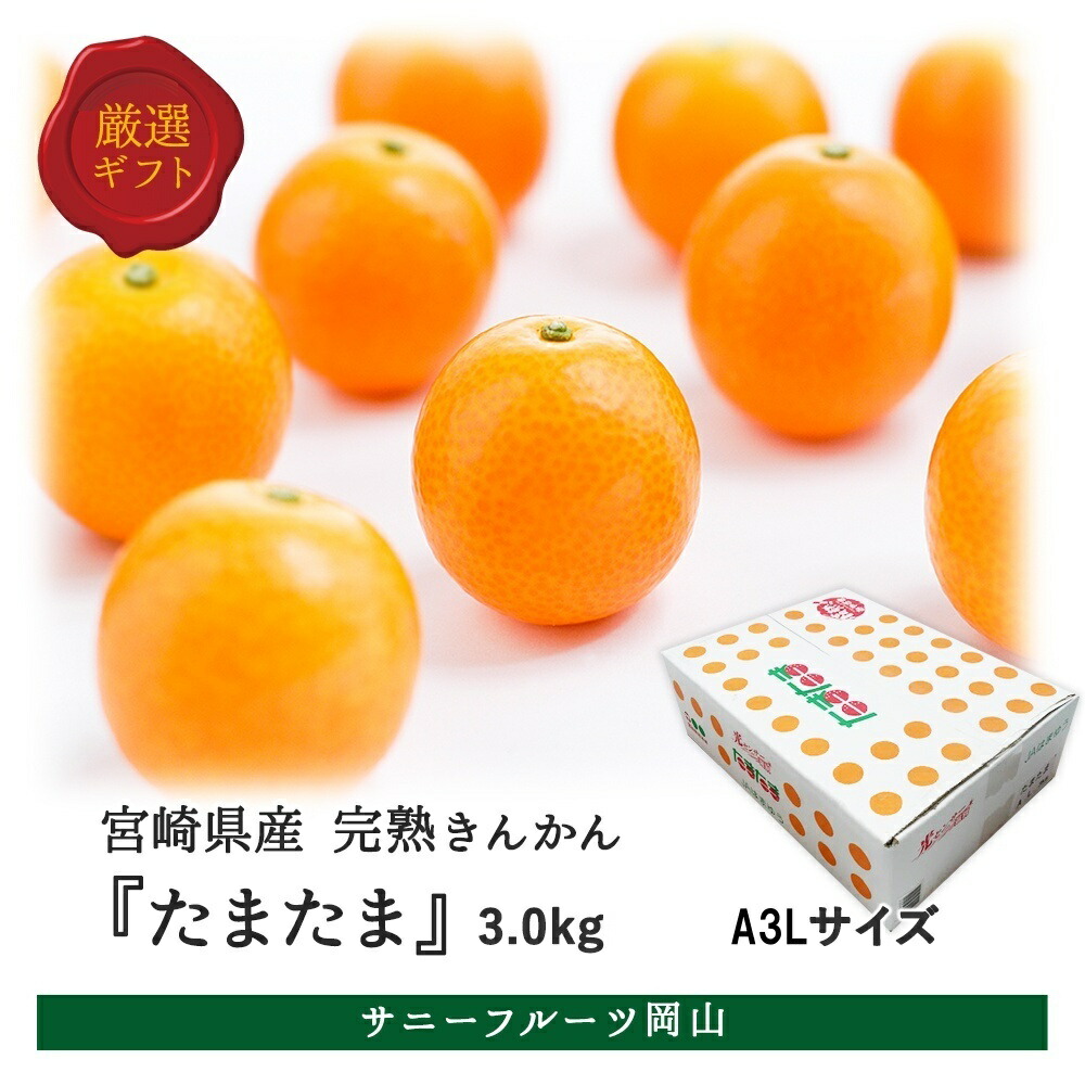完熟きんかん たまたま A3Lサイズ 約3kg 宮崎県産 金柑 キンカン 送料無料 (北海道・沖縄・離島の方は別途送料1500円がかかります)画像