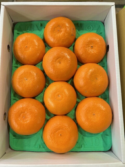 愛媛県中島産 せとか 約3kg 赤秀 3L～2L 約10～12玉 みかん ミカン 果物 柑橘 サニーフルーツ岡山 送料無料 (北海道・沖縄・離島の方は別途送料1500円がかかります)