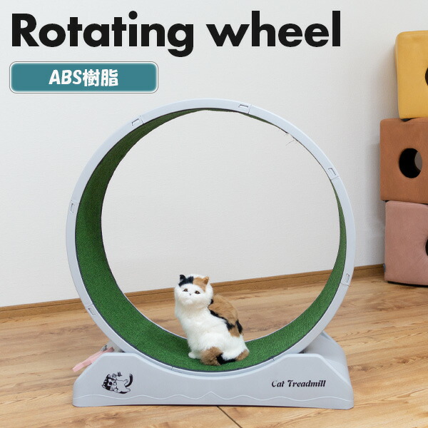 楽天市場】ペット 回転ホイール キャットホイール 猫回転