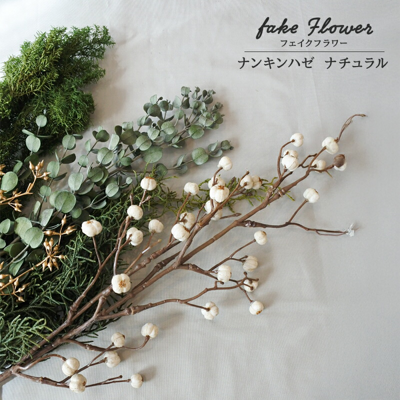 楽天市場】《10％OFFセール》【ドライ】大地農園/ナンキンハゼ・ステム