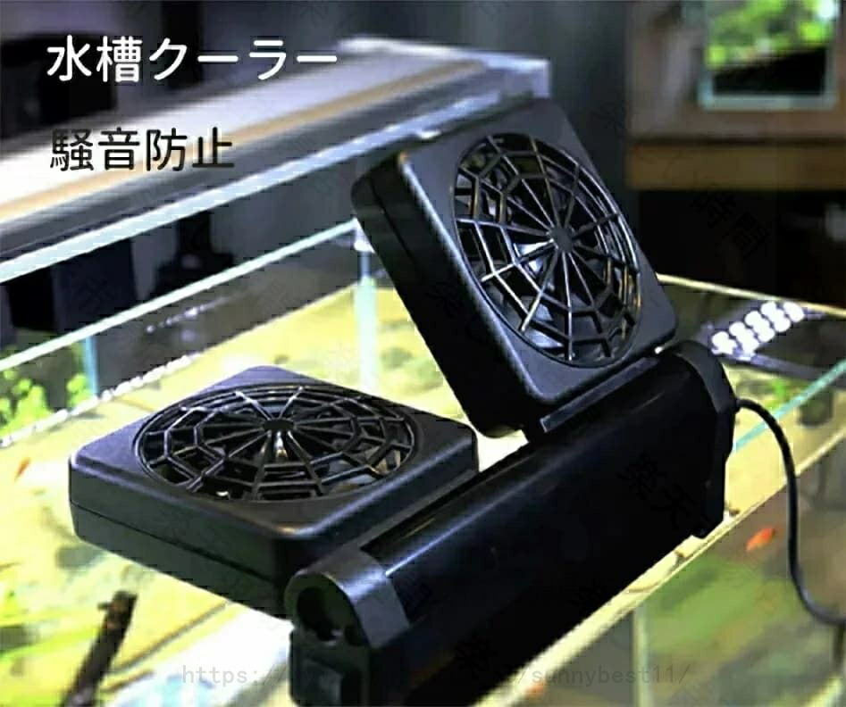 cj0251.jpg