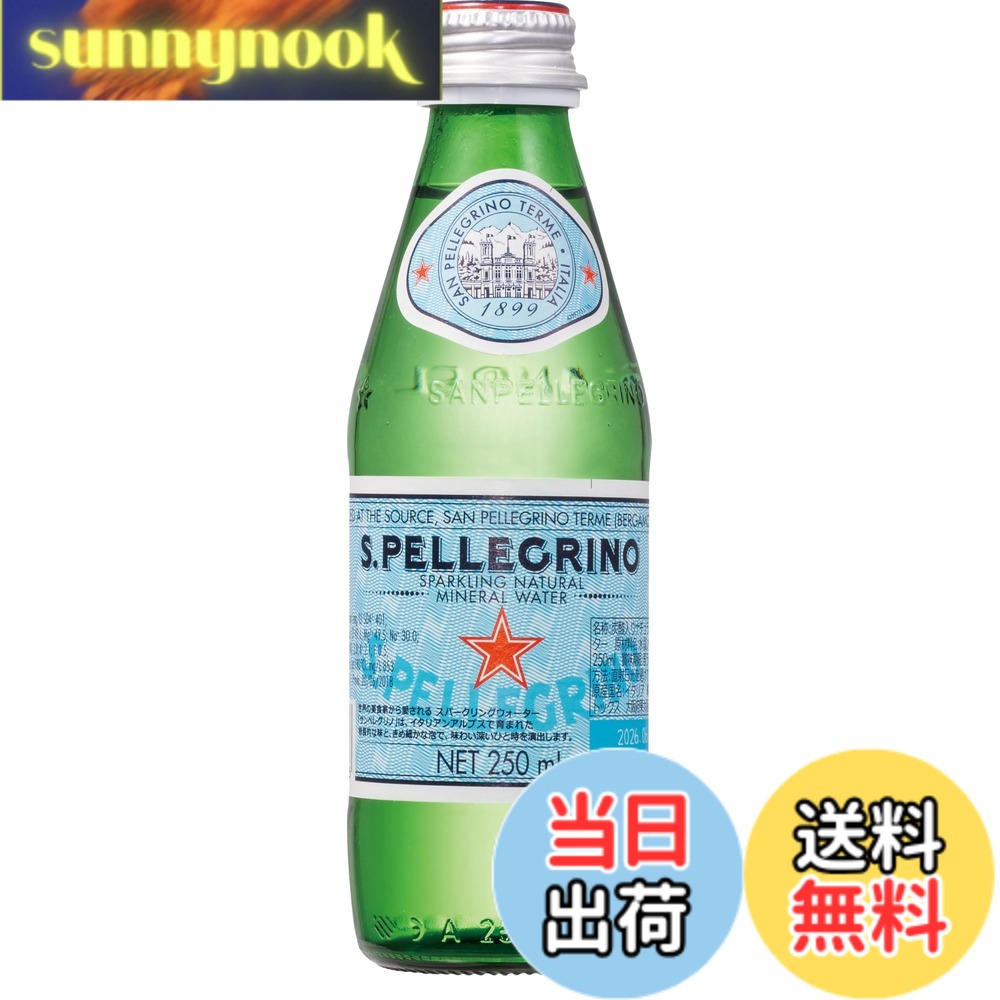 【貨物輸送無料】S.Pellegrino(サンペレグリノ) 炭酸水 瓶 250mlx24本 (イタリア共和国産 炭酸入り口・入口ナチュラルミネラルウォーター ねじ釘旗がしら)
