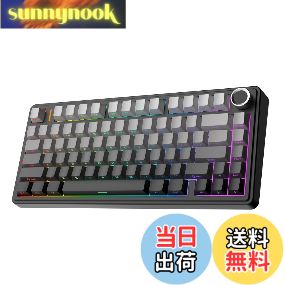 【送料無料】EPOMAKER x Aula F75 ゲーミングキーボード ガスケット メカニカルキーボード 5層パッド＆ノブ付き 75% ワイヤレス ホットスワッパブル Bluetooth/2.4GHz/USB-C RGB 技適認証取得 (Black Gradient, LEOBOG Reaper Switch) 14,092円