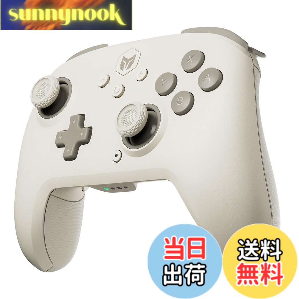 【送料無料】BIGBIG WON コントローラー 色：CHOCO ホワイト、サイズ：CHOCO｜sunnynook