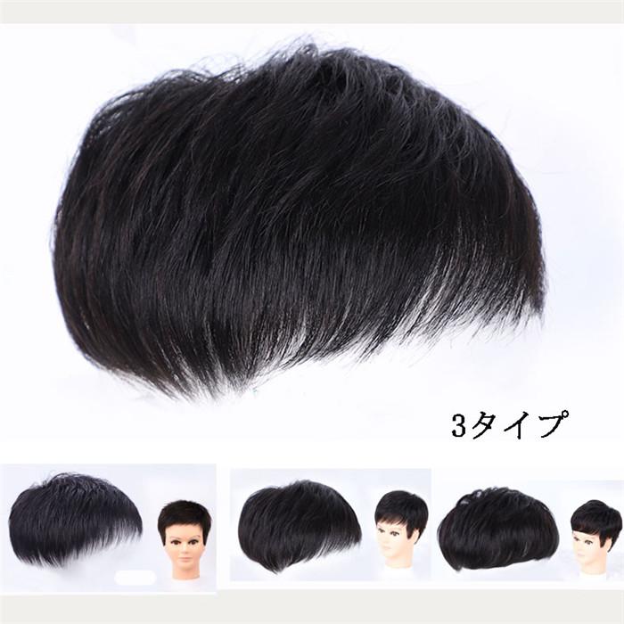 総手植えウィッグ メンズウィッグ成人男性用 耐熱ウィッグ 自然人毛 3手あい メンズかつら インテリウィッグ 日常用 ウィッグ 療用かつら  dp234c0c0x0