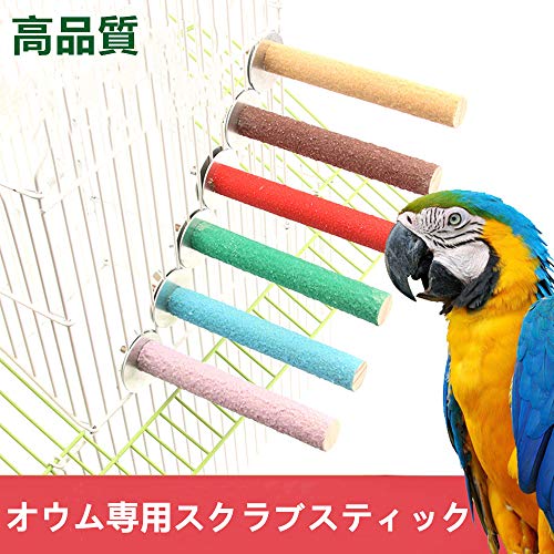 休日 オウム 止まり木 鳥用2本セットパーチ ストレート インコ 鳥スタンド 枝 爪を磨く 噛む玩具 ケージスタンド スクラブスティック スタンドロッド ケージ用 ペット用品 鳥栖 鳥休み場所 鳥用品 色ランダム Abamedyc Com