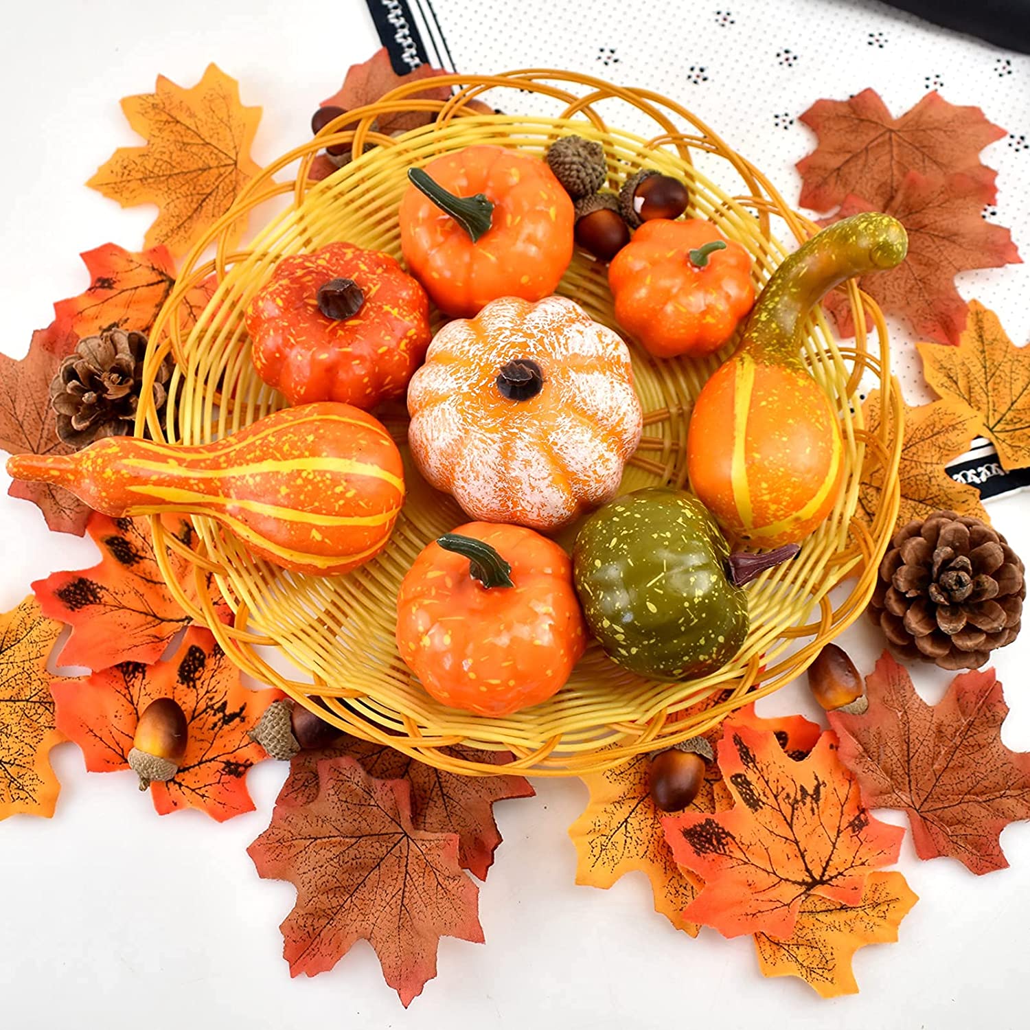 【みかんその3】ハロウィンかぼちゃ　本物 2025年産ハロウィンカボチャ(本物)NO.3.6.7.11.14