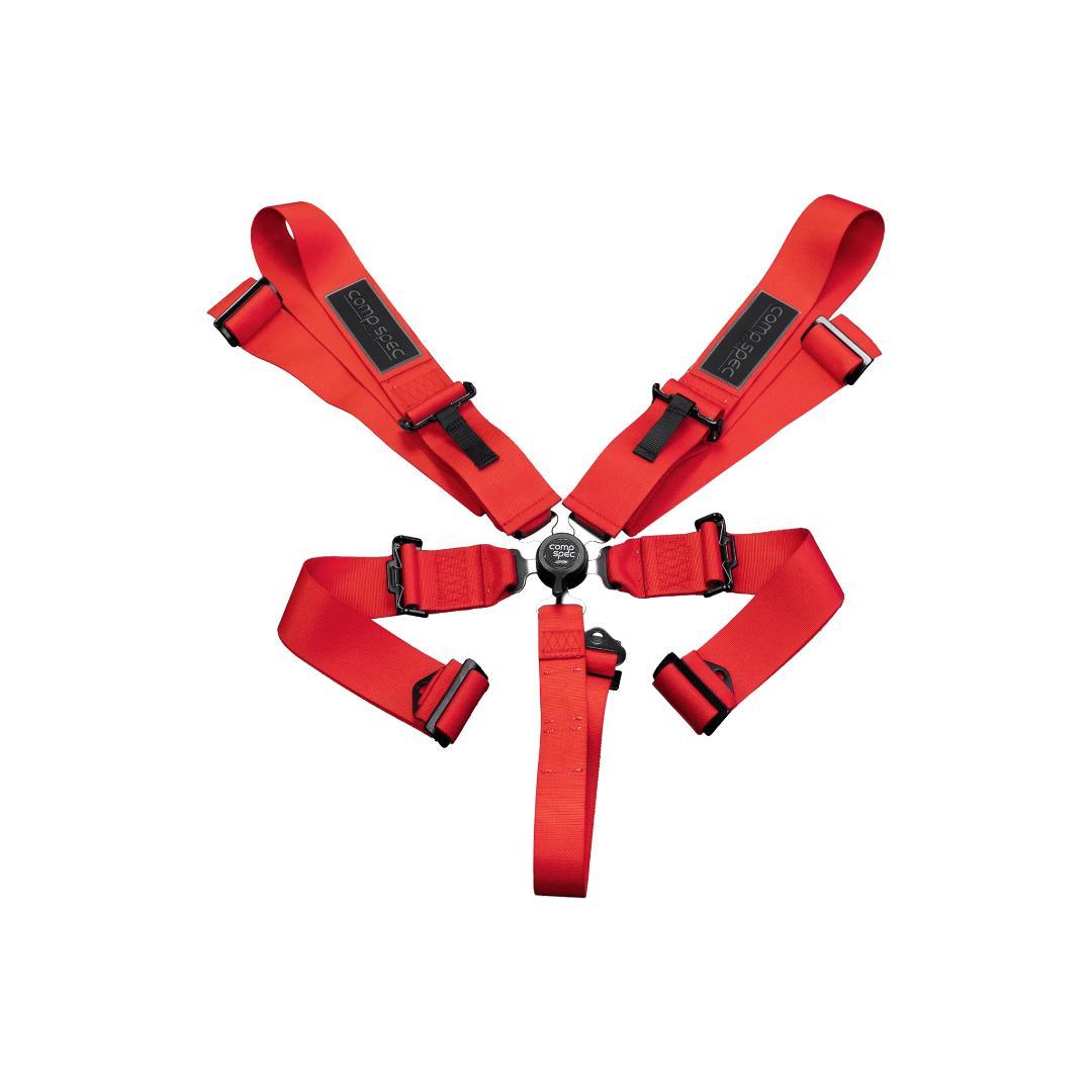 D.ヒル 本人実使用直筆サイン入り 6点式シートベルトウィリアムズ ウイランズ(willans) フォーミュラ用HANS専用6点式ハーネス シルバー