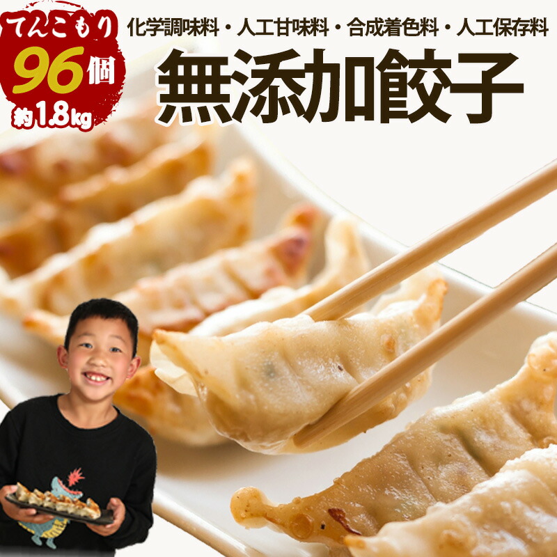一龍堂 無添加餃子 96個  無添加  ぎょうざ ギョウザ ギョーザ 生餃子 冷凍餃子 冷凍生餃子 【無添加   無化調】大人気冷凍食品  食品  送料無料  簡単  惣菜  中華惣菜   中華点心  点心  国内生産