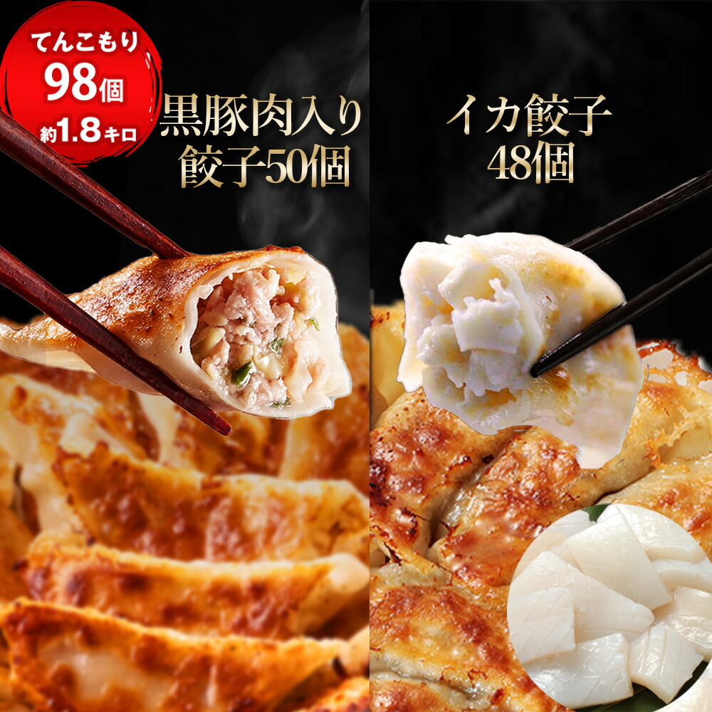 新発売  60％以上がイカ（具）いか餃子48個　黒豚肉入り餃子50個　イカ  一龍堂 餃子 ぎょうざ ギョウザ ギョーザ 98個 いか餃子 イカ餃子 冷凍 生餃子 冷凍食品 冷凍餃子 送料無料  鮮度抜群 ぷりぷり 惣菜 中華惣菜  中華点心 極上 贅沢