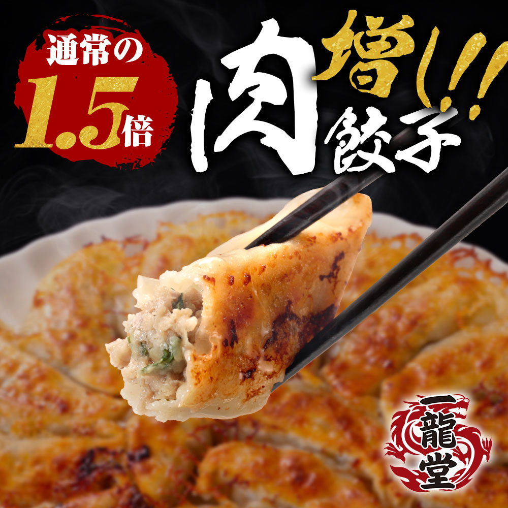 一龍堂   新発売  肉増し餃子100個   餃子 肉餃子 ぎょうざ ギョウザ ギョーザ 冷凍餃子  1.8キロ！ 約16人前 大人気  冷凍食品 食品 惣菜  冷凍 大容量 業務用  送料無料 国産 簡単 送料無料