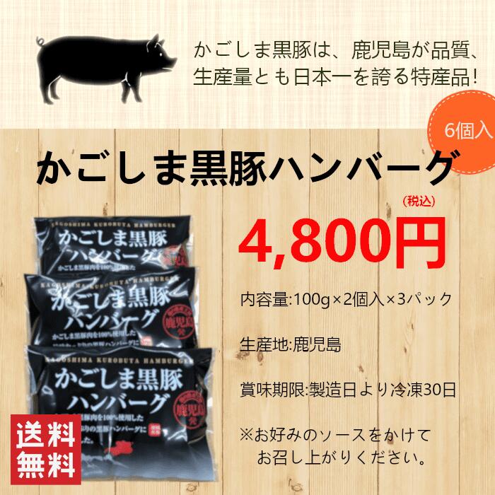 市場 送料無料 黒豚 お中元 帰省 鹿児島 土産 100g×2個入×３ﾊﾟｯｸ グルメ ハンバーグ お取り寄せ