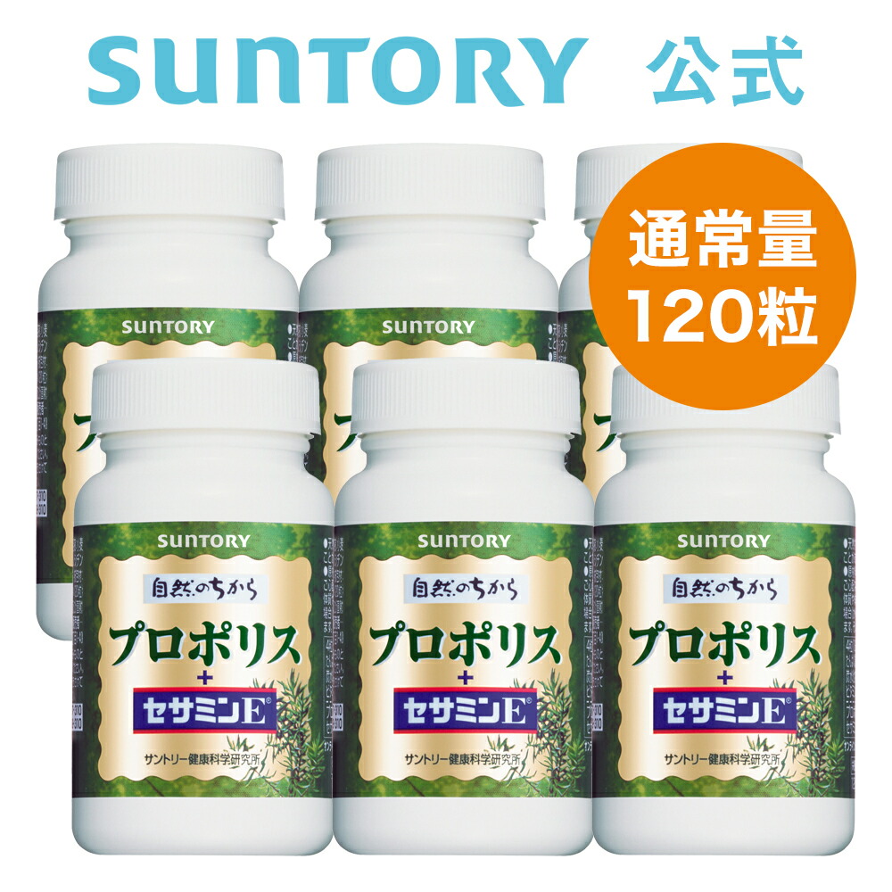 サントリー 自然のちから ブルーベリー 2個 通販