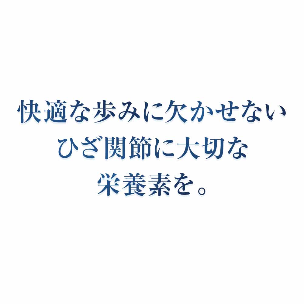 正規品送料無料 3個セット サントリーウエルネス公式 サントリー グルコサミン アクティブ 機能性表示食品 コンドロイチン ひざ サプリメント サプリ  360粒入 約60日分 whitesforracialequity.org