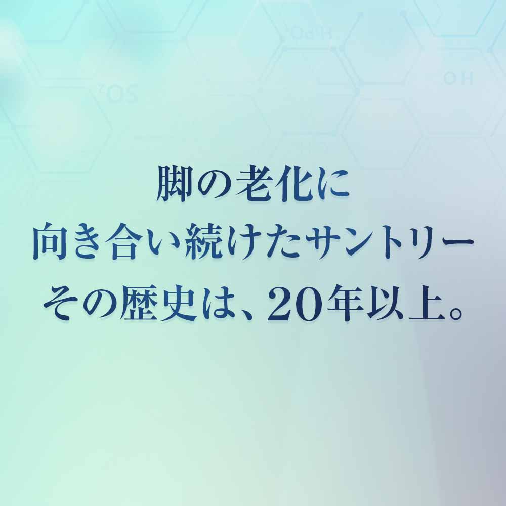 市場 2個セット グルコサミン 機能性表示食品 アクティブ サントリーウエルネス公式 サントリー