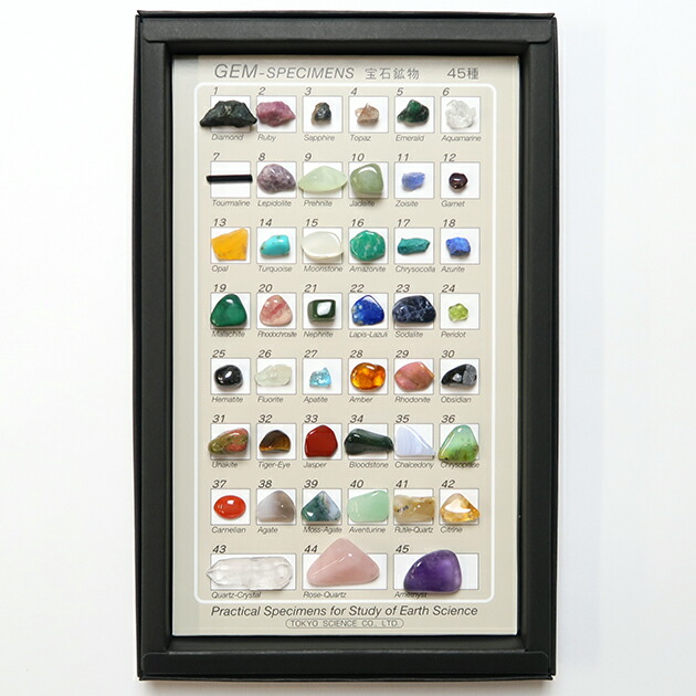 岩石鉱物標本100種　東京サイエンス　TOKYO science Amazon | 東京サイエンス(Tokyo Science) 「岩石・鉱物標本100種