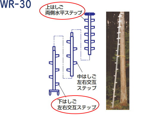 【最大限度2000円OFF引き換え証散り散り中】ハラックス 軽銀製 枝打掛けはしご ワンダ WR-30