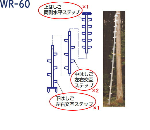 【最大限度2000円OFF引き換え証散り散り中】ハラックス (HARAX) ワンダ 軽銀製 枝打掛けはしご WR-60