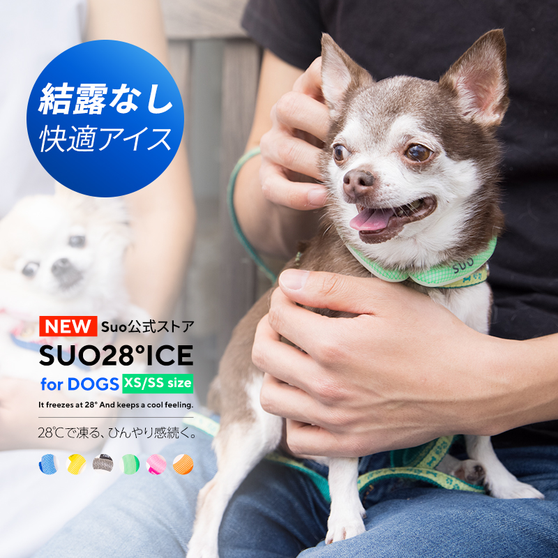 楽天市場 熱中症から愛犬を守ります 28 Ice ネック用 クール リング クール ネック ワンチャン用 Coolring 犬 犬用 クール バンド ネック クーラー 首掛け 解熱 ペット用 暑さ対策 熱中症対策 首ひんやり 冷却 首もと冷却 冷感 散歩 おしゃれ 持続温度制御 成分pcm M L