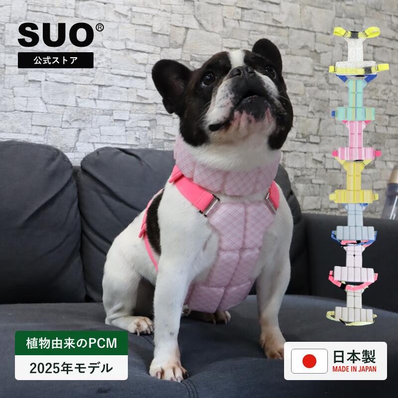 楽天市場】8/1まで 全員貰えるCP開催中☆SUO(R) 公式 2025年新