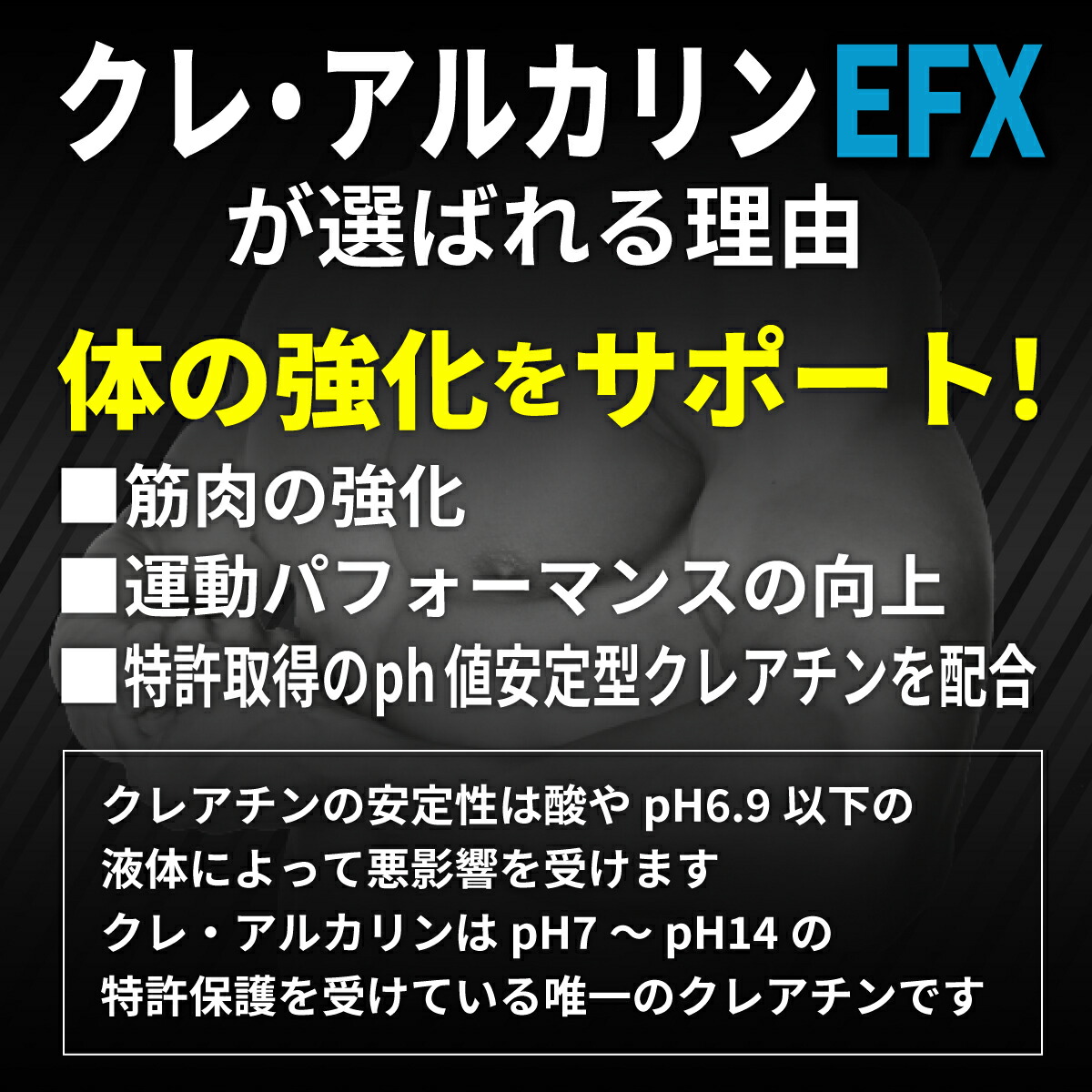 ★送料無料★EFXスポーツクレアルカリンEFX240粒2本セット【EFXsports】Kre-AlkalynEFX240Capsules2sets