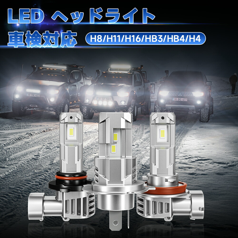 ライフベイト エプシロンポッパー スローテーパー オリカラ 新品 ダイワ ショアラインシャイナーZバーティスSD(スロードライブ