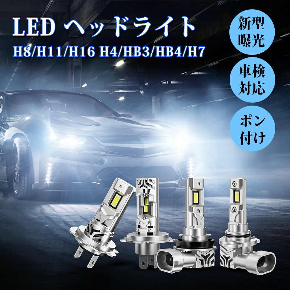 春/プロフ要確認ページ 楽天市場】10倍ポイントに600円クーポン！「2025最新進化版