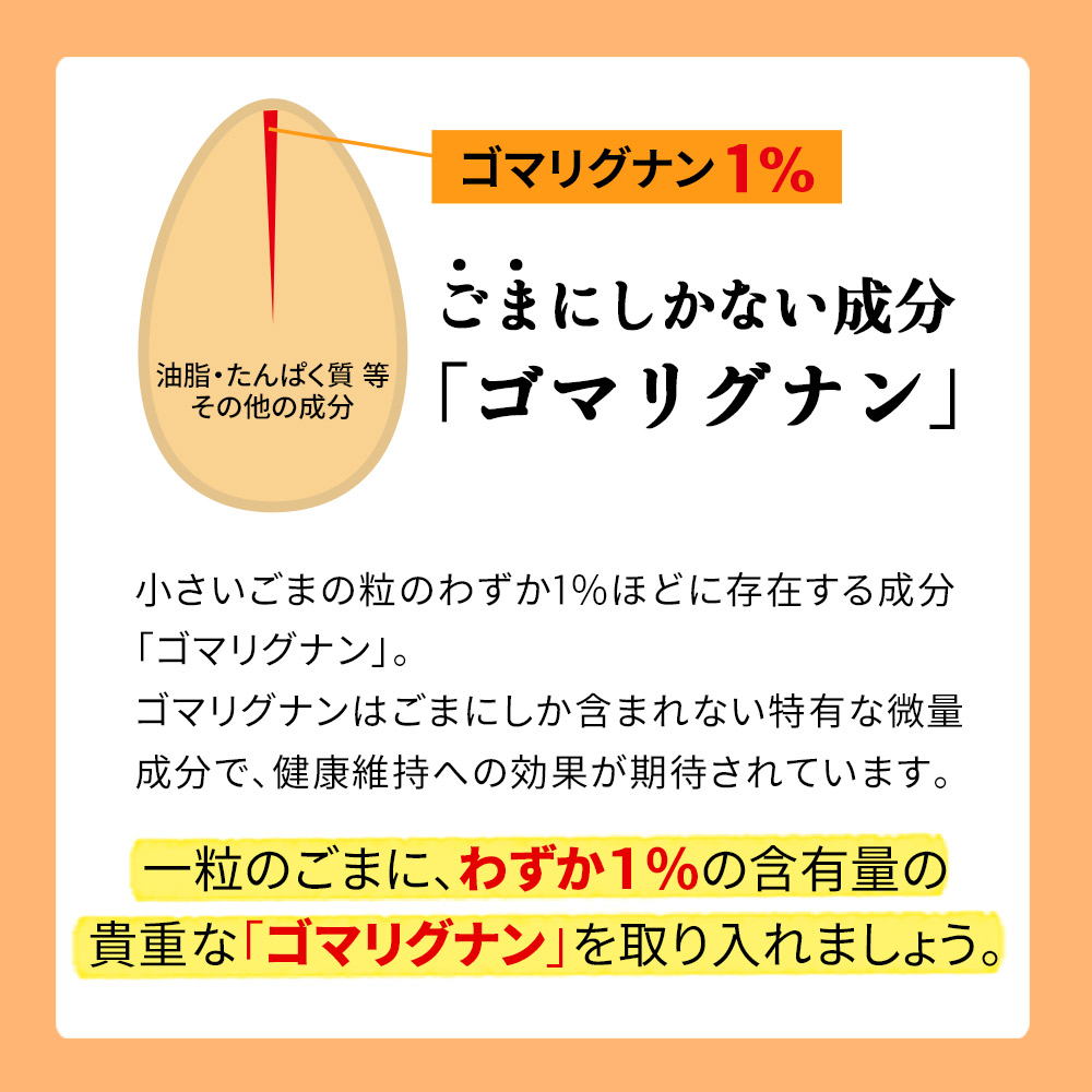 波里ねりごま白500g送料無料胡麻(ごま)ゴマミクロペースト徳用業務用