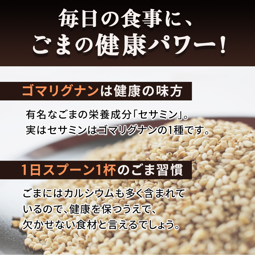 波里ねりごま白500g送料無料胡麻(ごま)ゴマミクロペースト徳用業務用