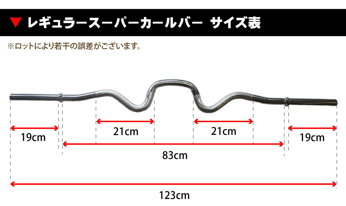 IROTEC（アイロテック）レギュラースーパーカールバー径28mm専用 EZバー バーベル シャフト プレート 筋トレ Wシャフト Wバー ダンベル トレーニング器具  筋トレ器具 筋トレグッズ ベンチプレス Ezバー スポーツ器具