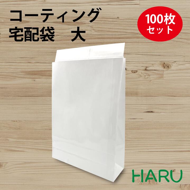 【楽天市場】宅配袋（白）大 無地 100枚 晒片ツヤ 幅320×マチ100