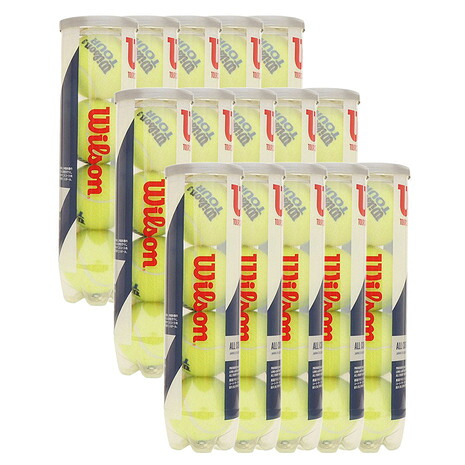 ウイルソン（Wilson）（メンズ、レディース）【15缶セット】テニスボール TOUR STANDARD WRT103800 自主練 (60球入り)