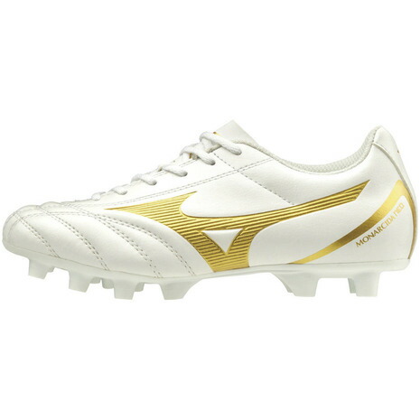 pro 2 mizuno