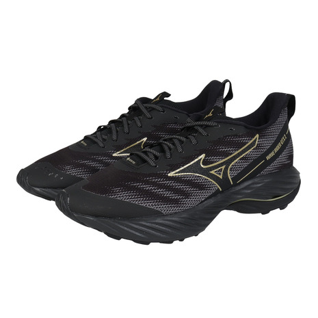ミズノ(MIZUNO)(メンズ、レディース)ランニングシューズ ジョギングシューズ ウエーブライダーGTX 2 J1GC248201