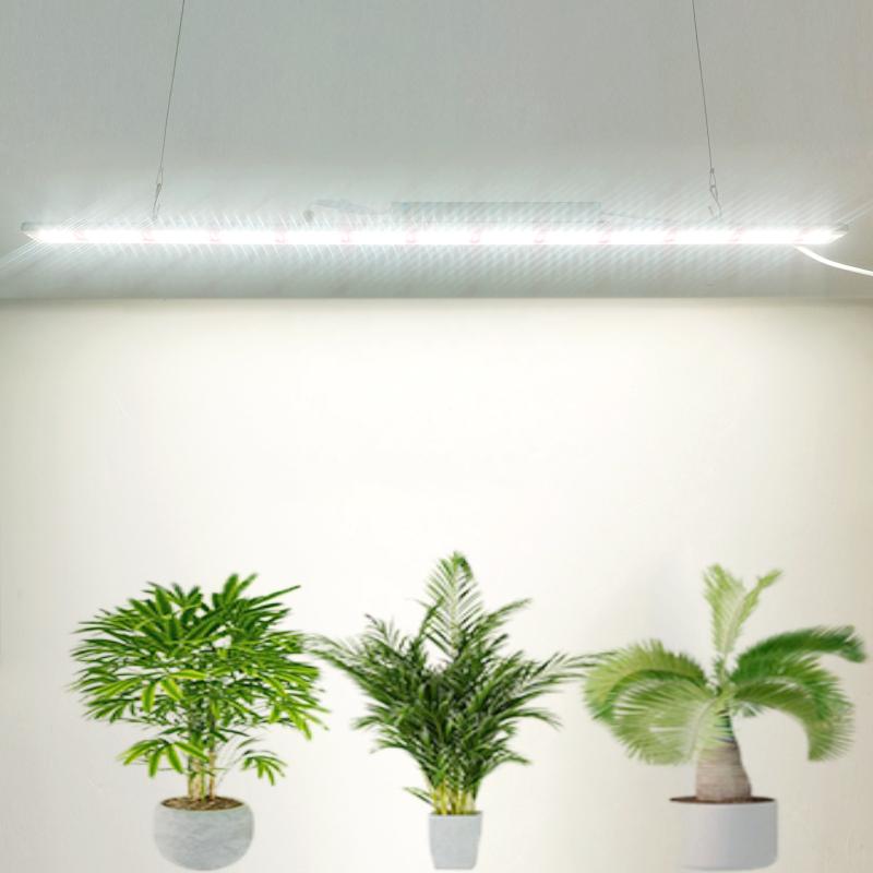 植物成長灯 室内 温室 大棚 補光灯 アルミ LED フルスペクトル 調光 100W 防水｜SUPERYOU