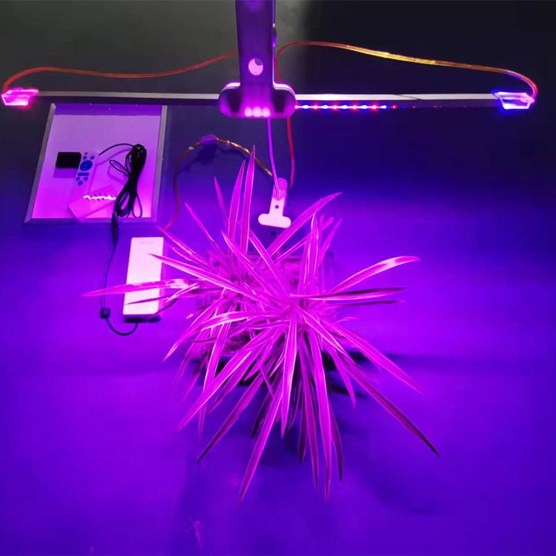 植物 育成灯 LED 植物灯 赤青光 全光譜 補光灯 成長灯 赤色 青色 白色 0.5m｜SUPERYOU